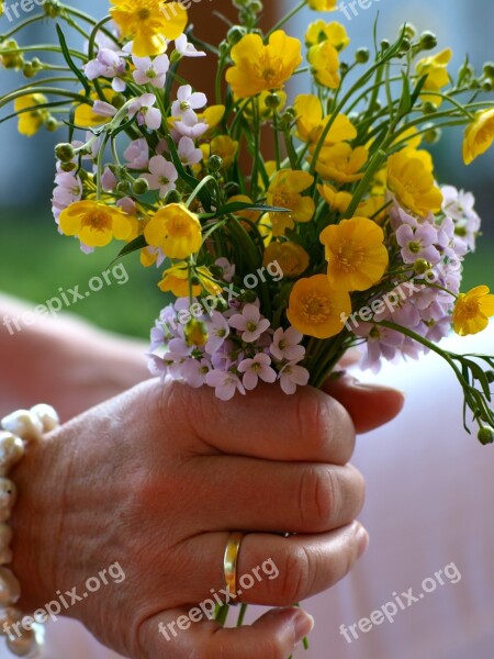 Flowers Hand Ring Married Springtime