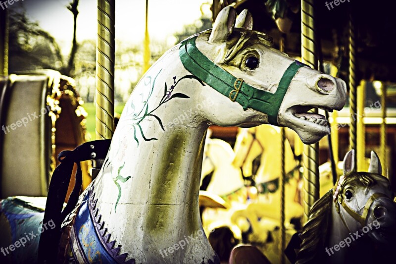 Horse Carousel Fun Manege Nostalgic