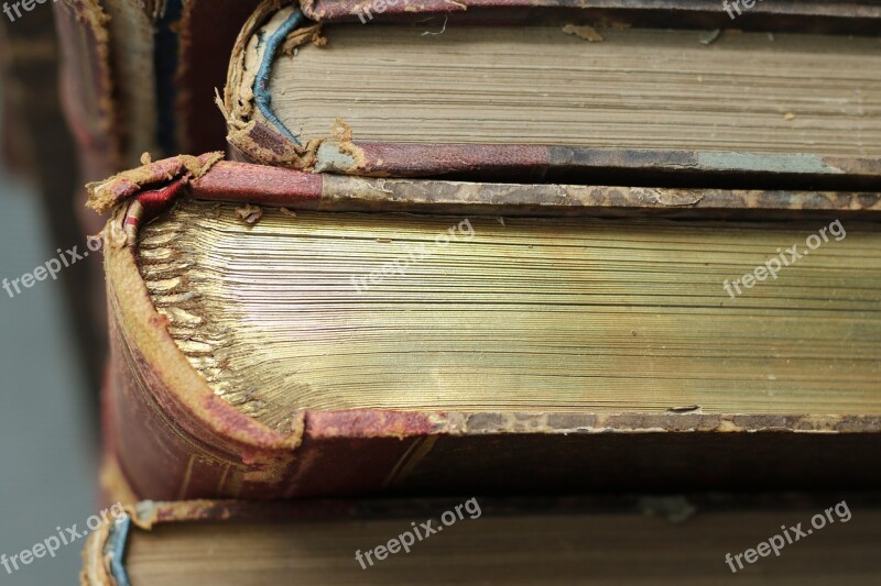 Books Old Large Books Golden Library