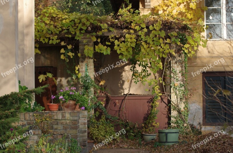 Garden Autumn Pergola Building Mood