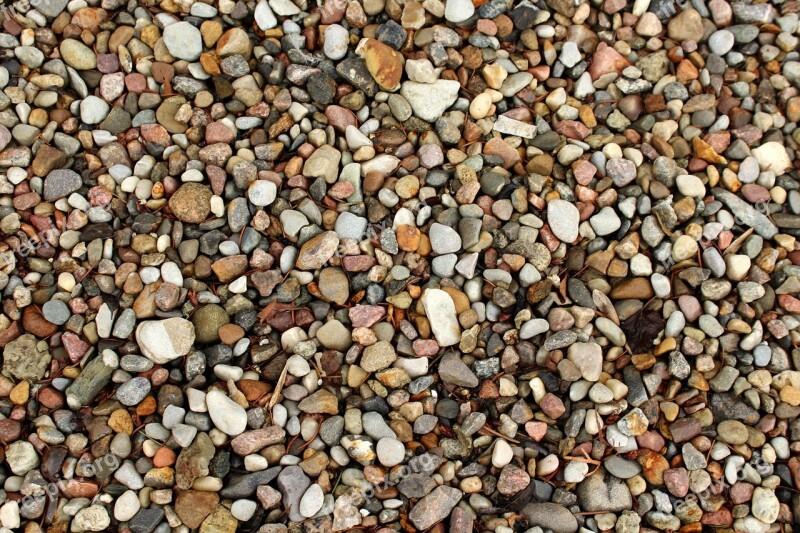 Pebbles The Stones The Background Texture The Structure Of The