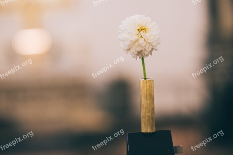 Flower Wedding Romantic Bouquet Church