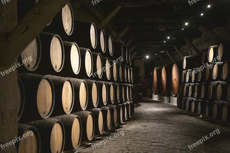 Barrels Cava Wine Porto Winery