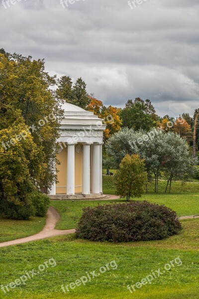 Landscape Pavlovsk Park Tree Trees