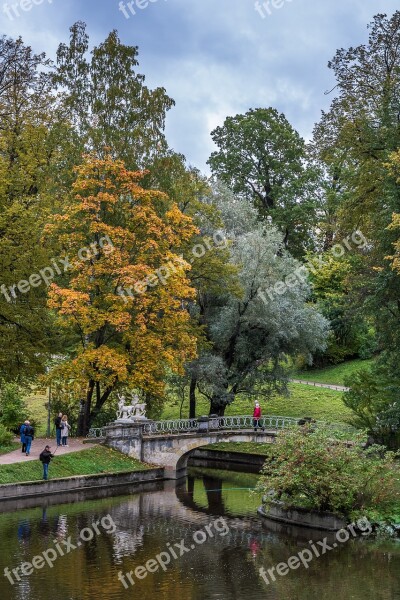 Landscape Pavlovsk Park Tree Trees