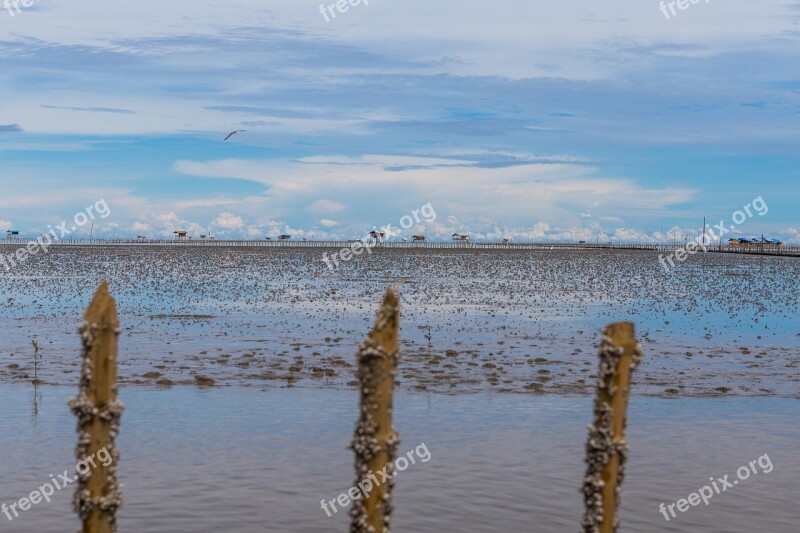 Klong Klongkhone Sea Bluesky Nature