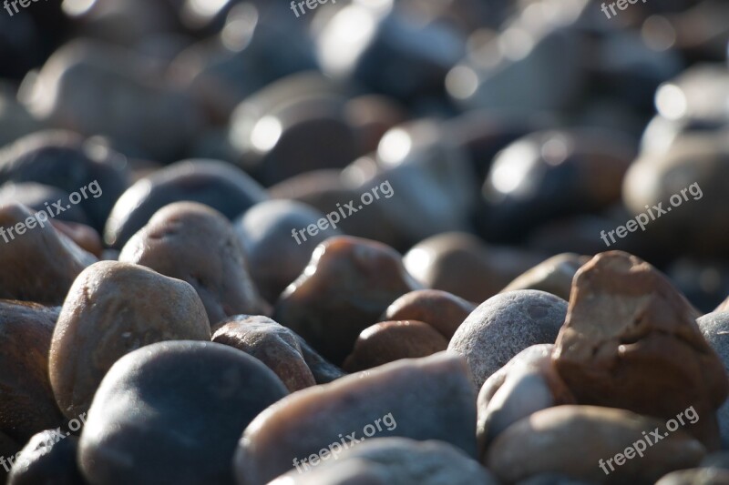 Rock Pebble Beach Stone Small