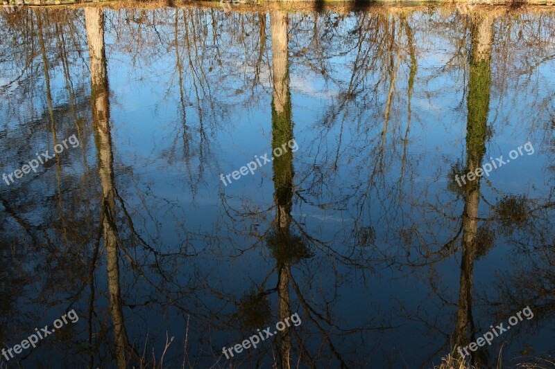 Channel Reflection Nature Tourism Tree