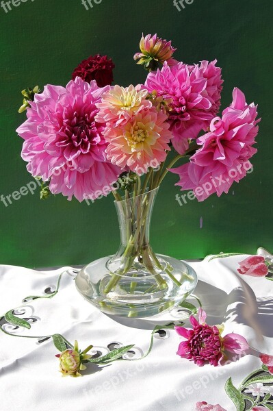 Bouquet Still Life Flowers Vase Flower Vase