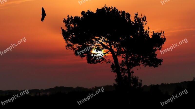 Sunset Nature Landscape Evening Sky