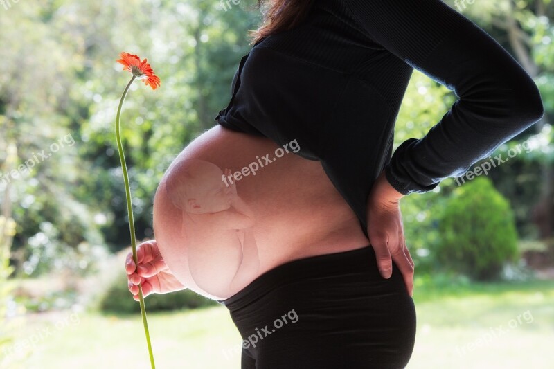 Pregnant Baby Stomach Pregnancy Mother