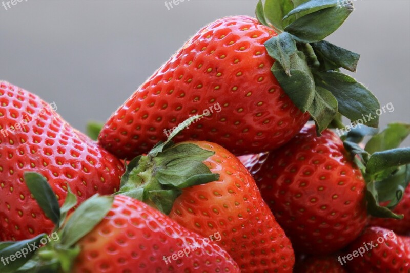 Fruit Strawberries Bio Fresh Eat