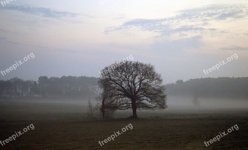 Landscape Field Nature Rural Trees