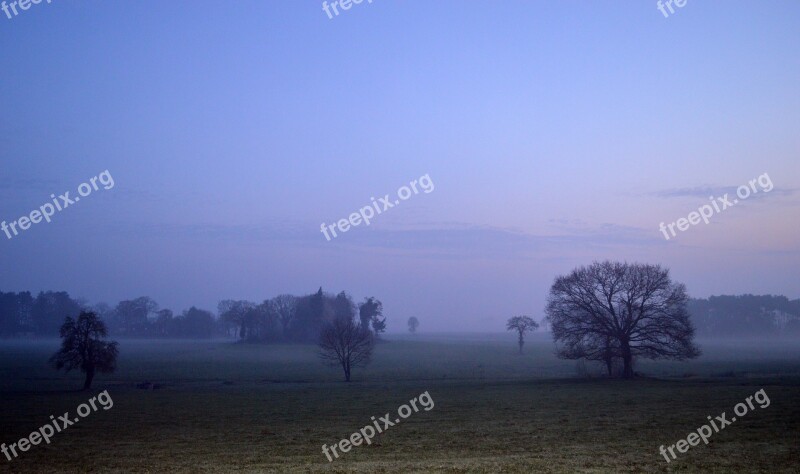 Landscape Field Nature Trees Twilight