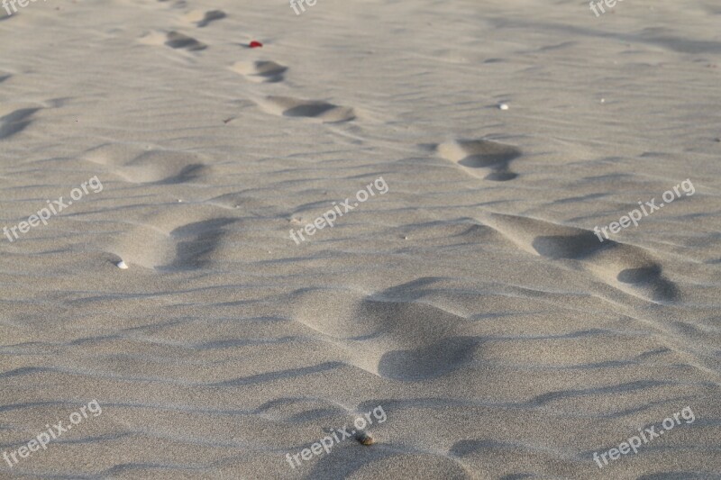 Sand Footprints Walk Beach Sea