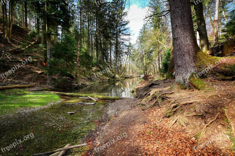 Stream Bed River Water Landscape Idyllic