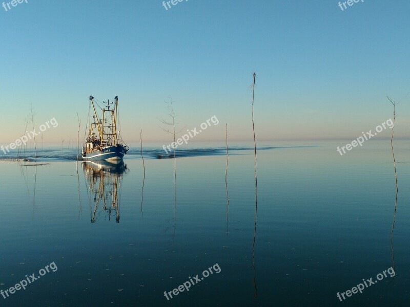 Sausage North Sea Coast Lighthouse Upper Shipping Shrimp