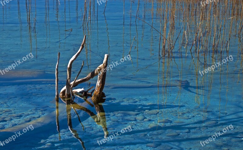 Water Clear Lake Mirroring Wood