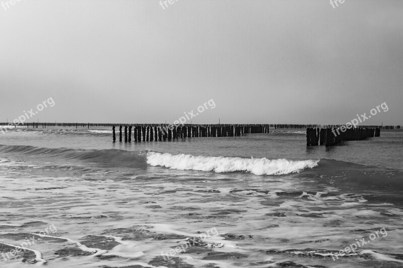 Beach Sea Ocean France Mussels