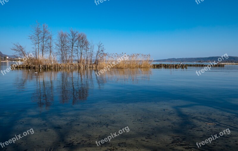 Lake Water Shore Zone Trees Mirroring