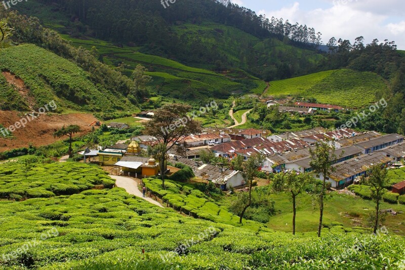 Plantation Village Landscape Valley Green