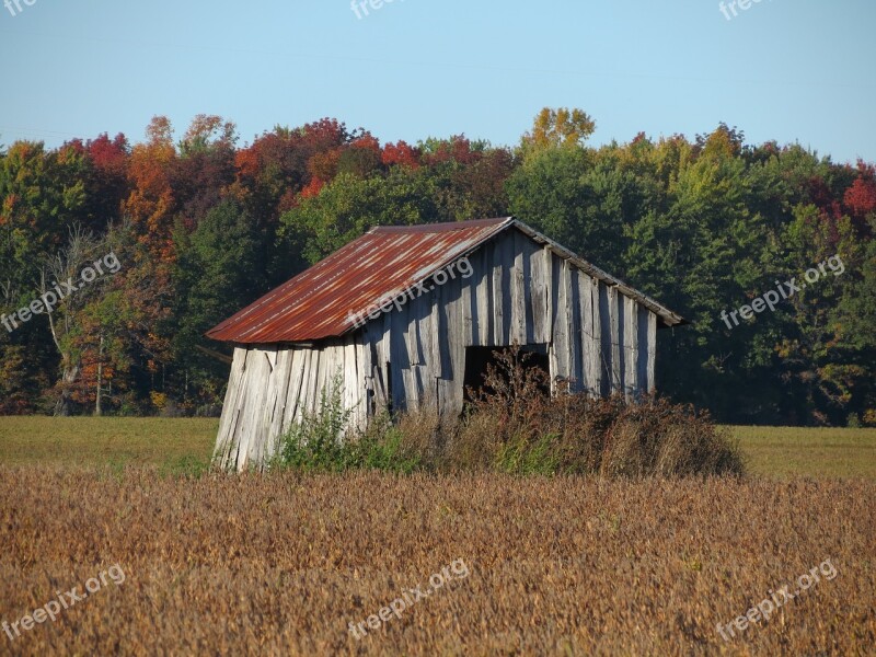 Hut Shed Derelict Ruin Abandoned