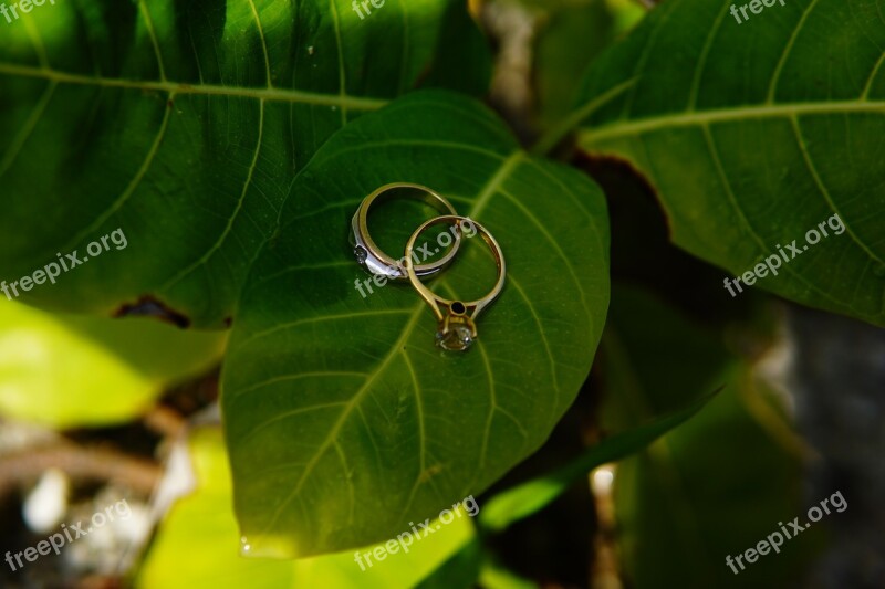 Flower Ring Wedding Love Nature