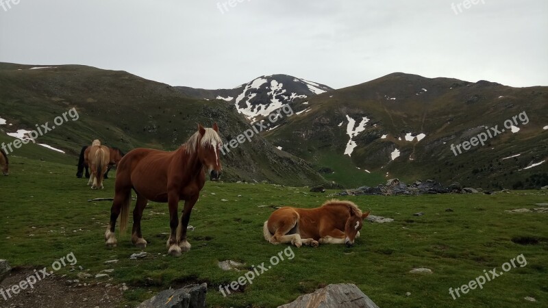 Mountains Nature Hiking Adventure Winter