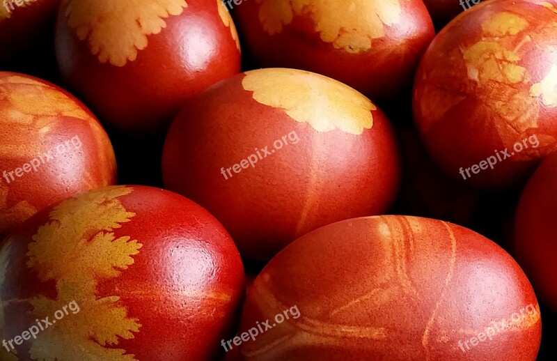 Egg Easter Easter Eggs Colored Spring