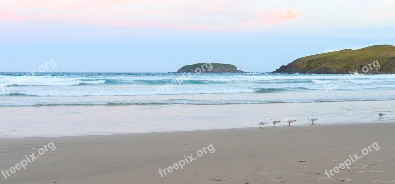 Beach Sandy Sunset Seagulls Sky