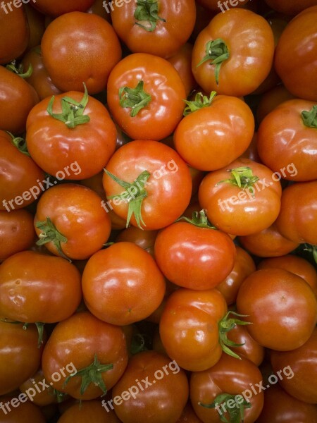 Tomato Beautiful Food Detail Vegetable