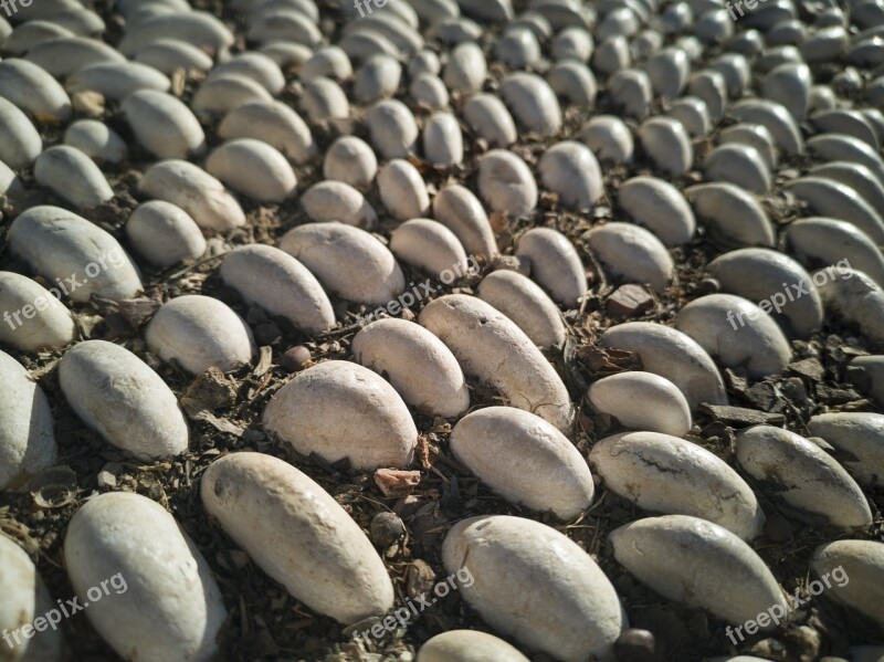 Stone Texture Pattern Flooring Abstract