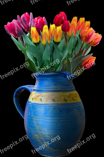 Flowers Krug Vase Decoration Bouquet