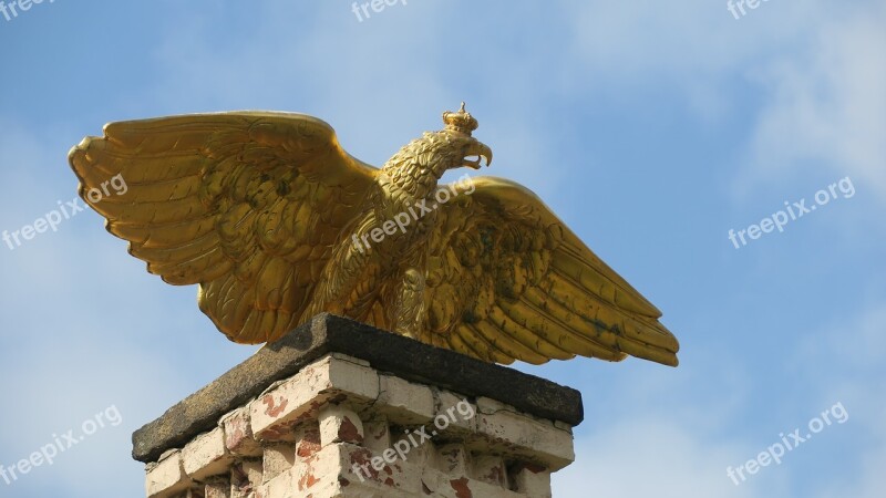 Adler Statue Monument Gold Branitz