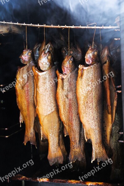 Fish Smoked Fish Smoked Fishing Smoking