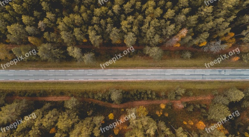 Road Forest Green Nature Landscape