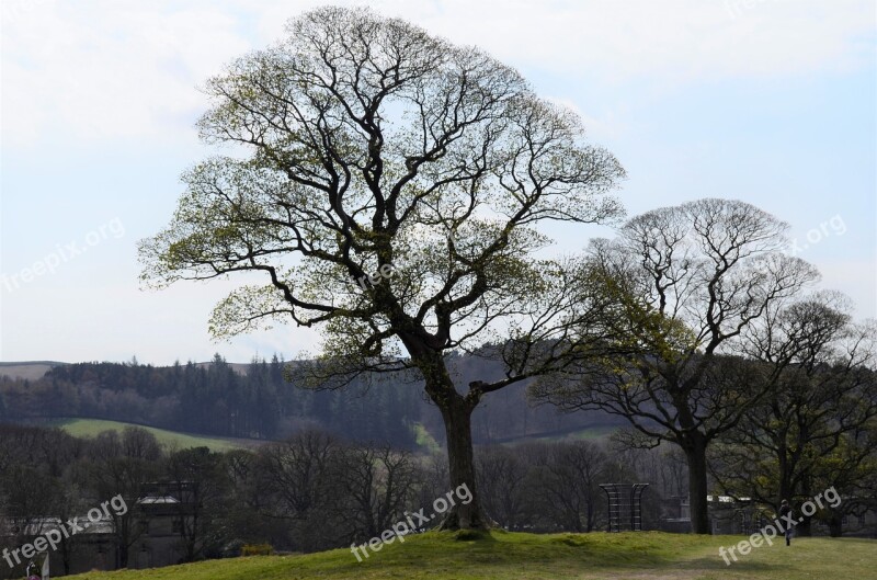 Trees Country Park Landscape Rural