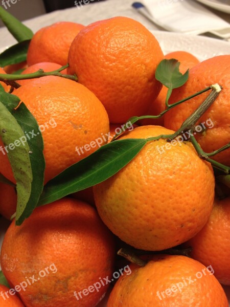 Orange Fruit Food Sweet Healthy