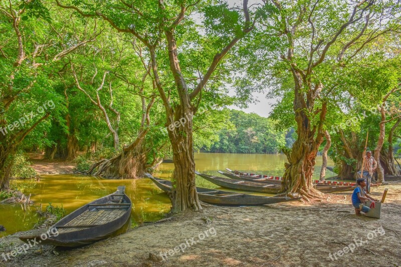 Bangladesh Landscape Nature Forest Green