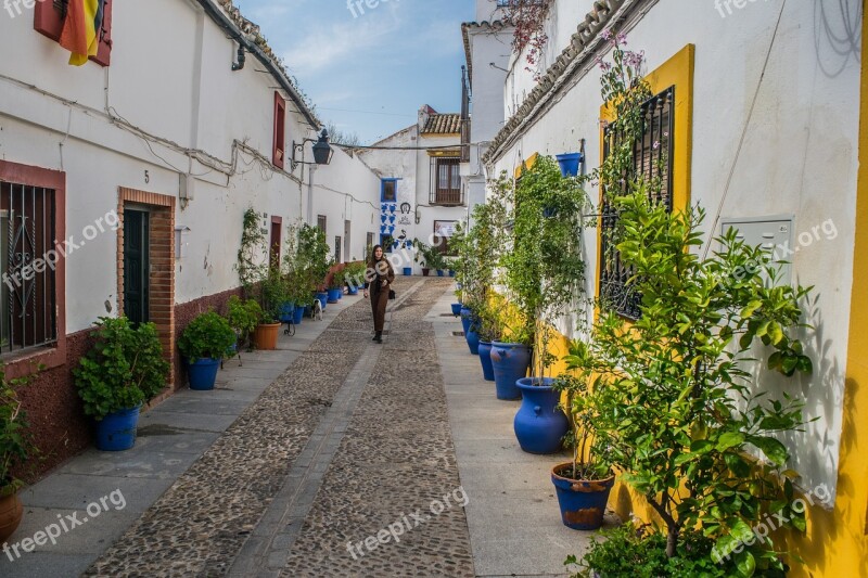 Cordoba Andalusia City Flowers Gardens