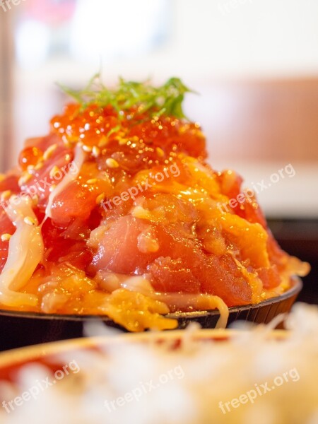 Bowl Of Rice Topped With Sashimi Lunch Bowl Rice Bowl Delicious