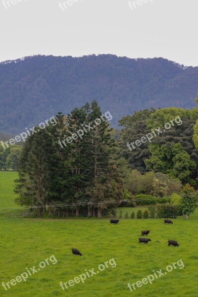 Farm Mountain Farmland Grass Green