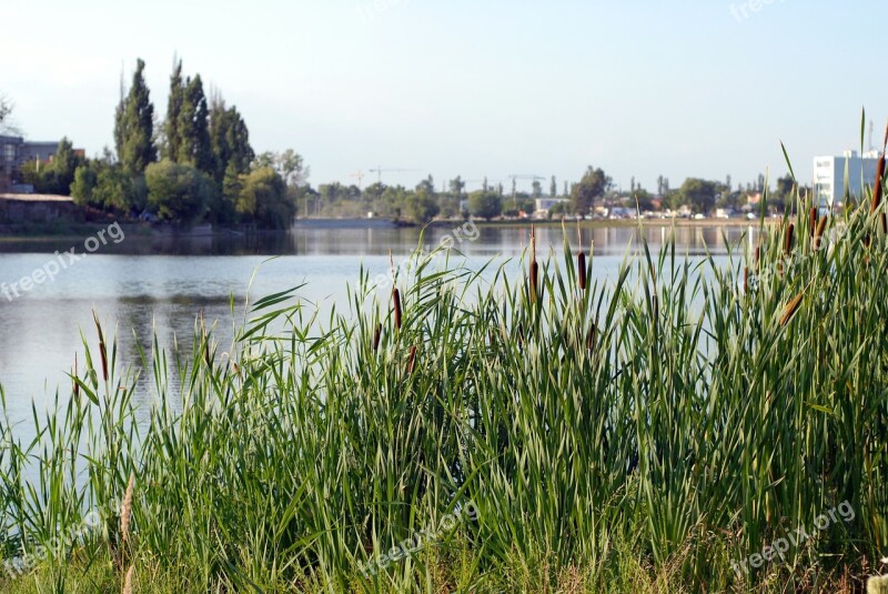 Lake Sky Water Nature Landscape