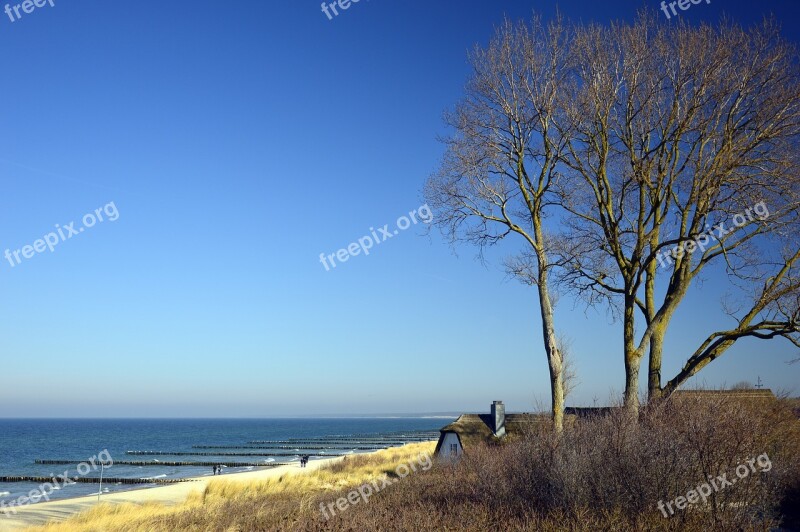 Landscape Beach Sea Water Dunes