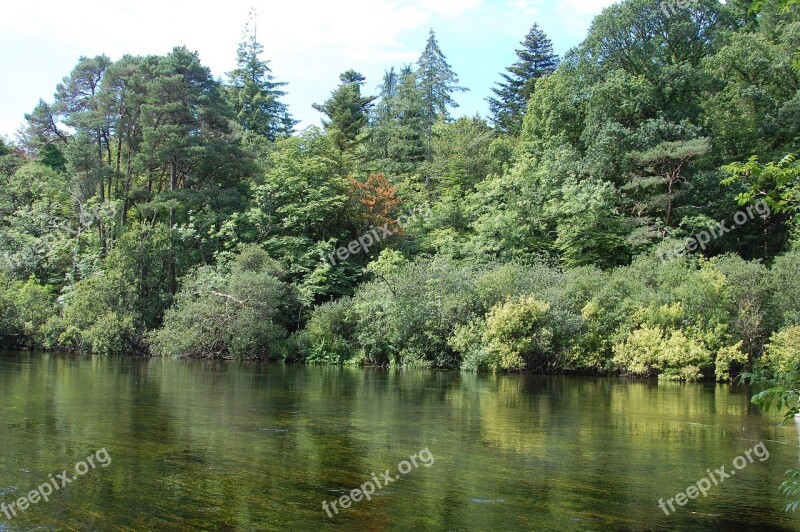 Green River Ireland Trees Nature