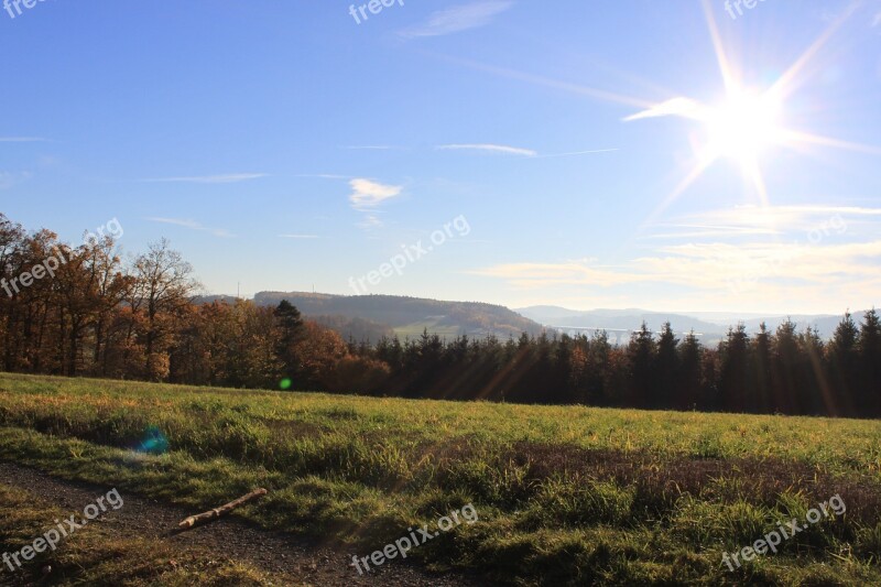 Autumn Forest Nature Sunbeam Free Photos