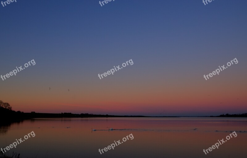 Sunset Sea Sky Red Swans