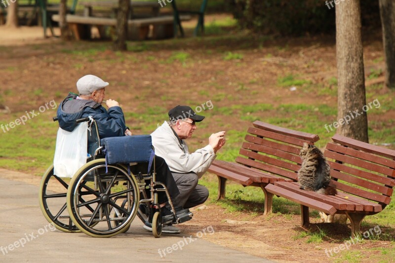 Park Men Elderly Wheelchair Cat