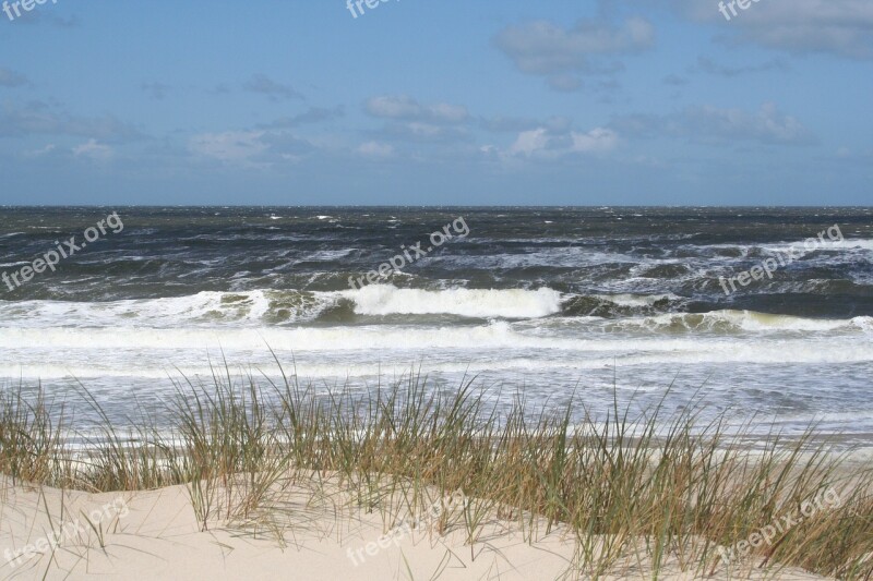 Sylt Beach North Sea Sand Sea