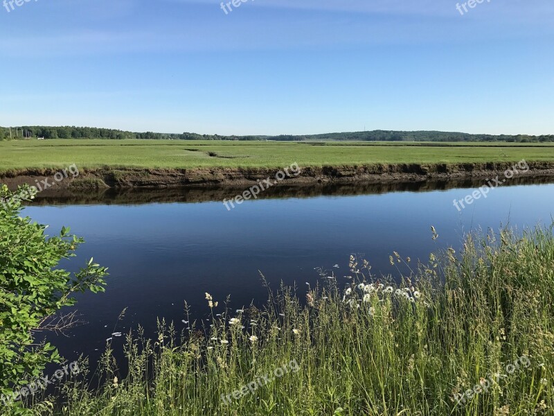 Marsh Summer Green Maine Water